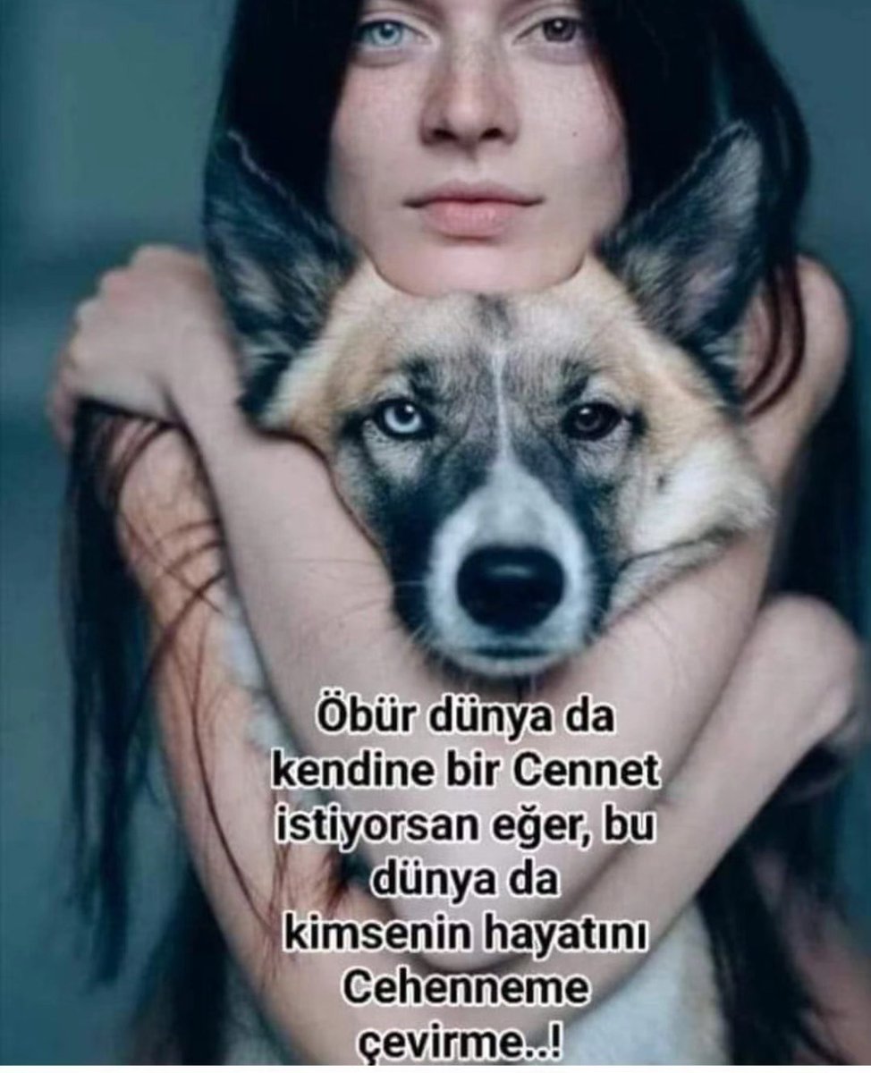 HANNESLİ🇹🇷🦂Ülkemde sığınmacı istemiyorum. tweet media