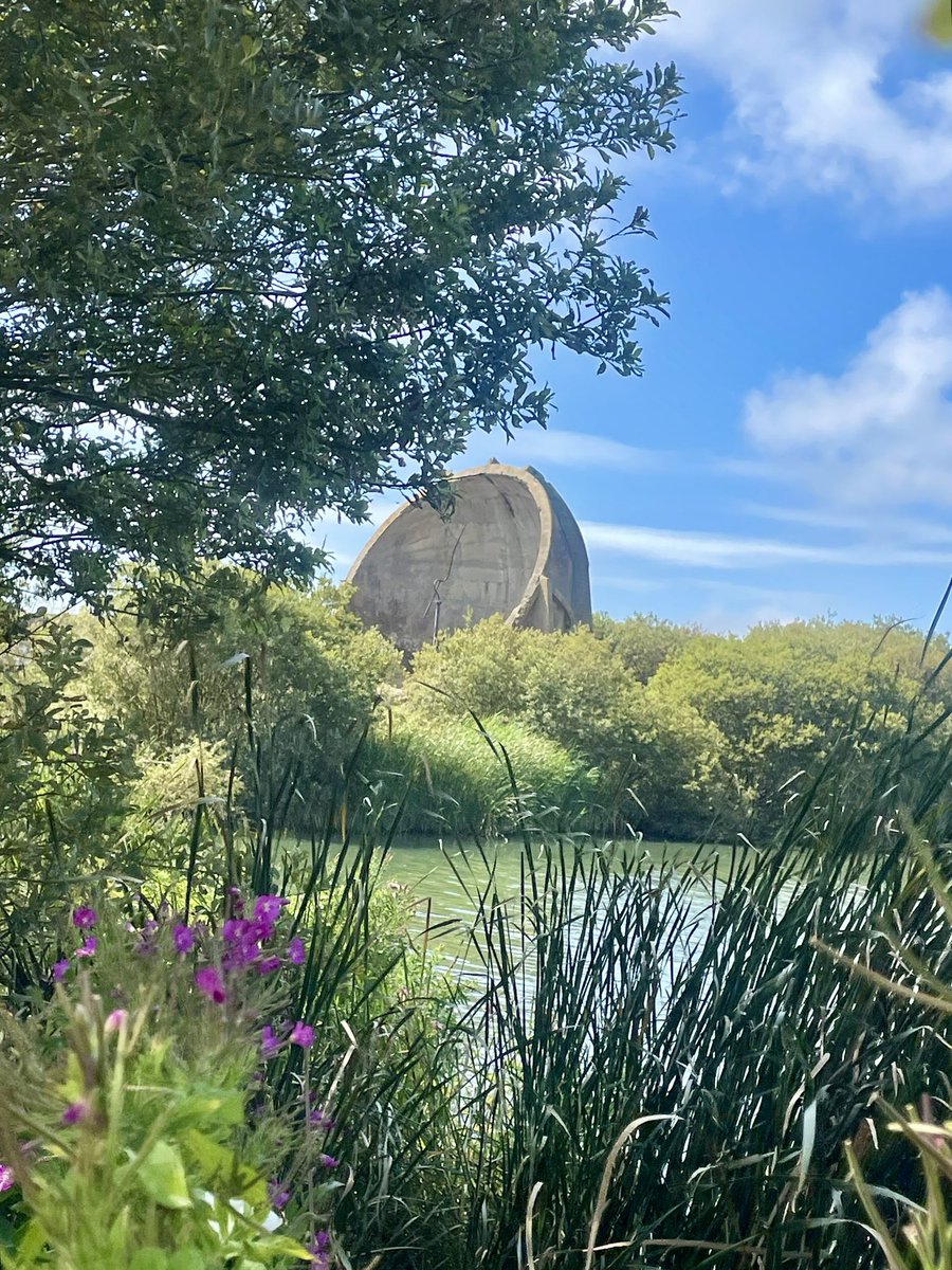 LizAtkin's tweet photo. Finally made it to the sound mirrors aka listening ears / acoustic mirrors in Dungeness, built between 1928 and 1935 to provide early warning of enemy aircrafts before radar. @concreteear @Natures_Voice 

#soundmirror #soundmirrors #denge #dungeness #kent https://t.co/ehXx1Fwvng