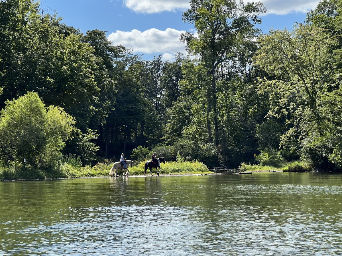 J.R. Jamison tweet media