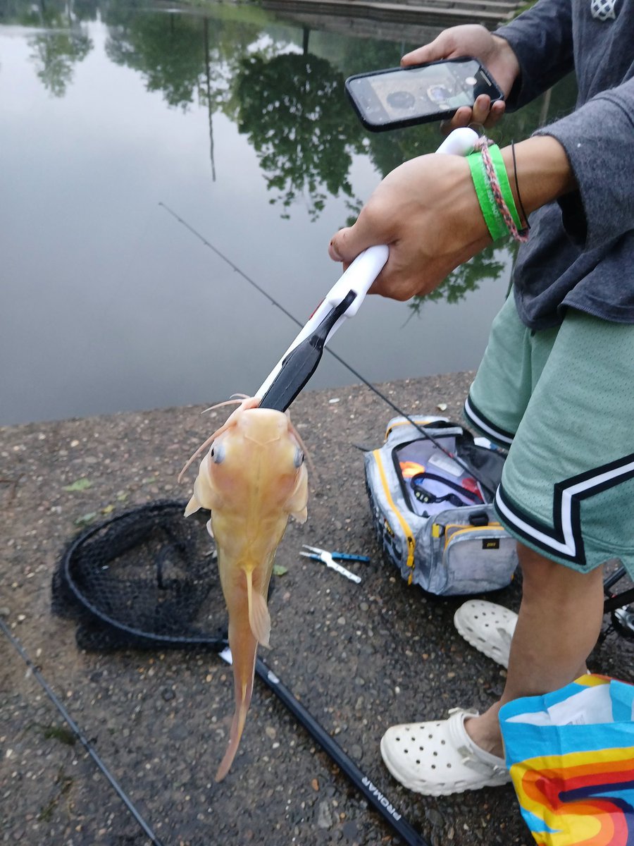 I have been obsessively pursuing an albino catfish that lives in carnegie lake. Saw some guy catch it the other day. He shrugged while I took a photo then tossed it back in. What even do i have left to live for?