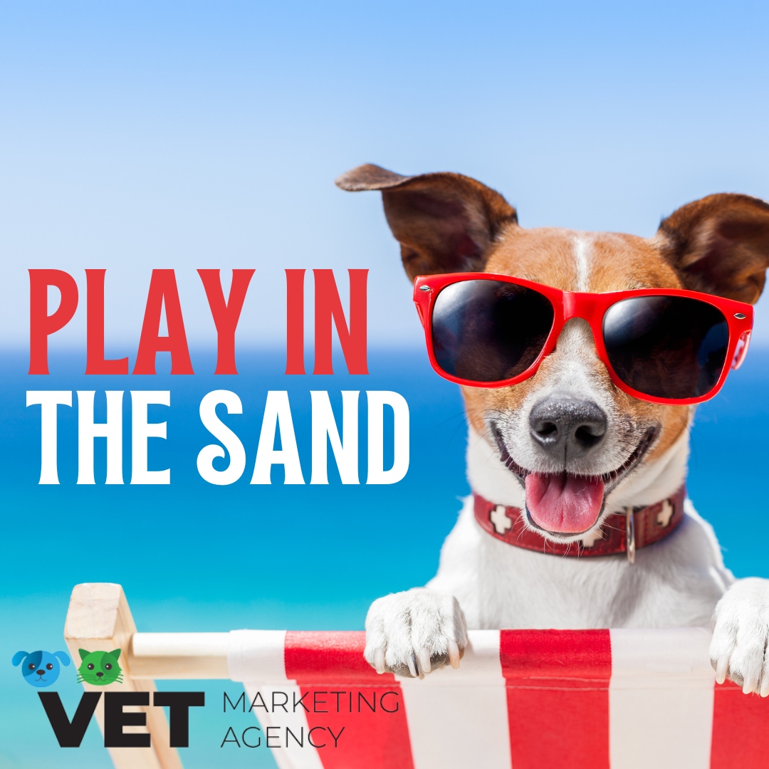 Summer is almost over! Let your dog play in the sand today to celebrate this national day!

Get a free copy of our Veterinary Digital Marketing eBook. DM "Book" to get the download link.
.
.
.
.
.
. 
#veterinary #vetmarketing #veterinarian #VMA #AVMA #vetmarketingagency #vetme...