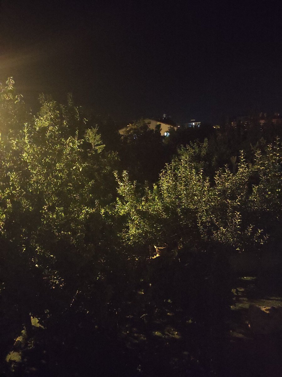 Gelgelelim
Beter, bize kısmetmiş.
Ölüm, böyle altı okka koymaz adama.
SUSMAK ve beklemek, müthiş...