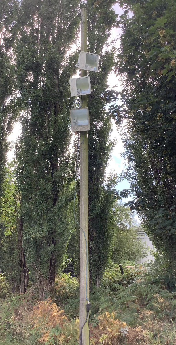 Steve Hardy tweet media