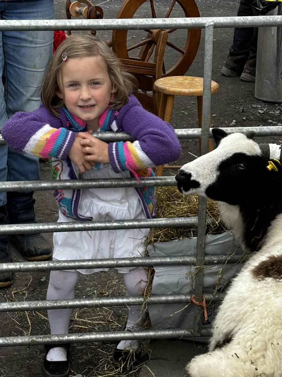 Old Fair Day tweet media