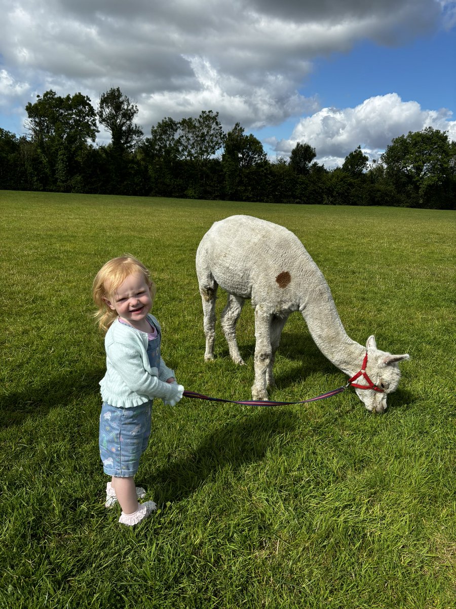 Old Fair Day tweet media