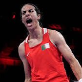 Brandubh tweet media