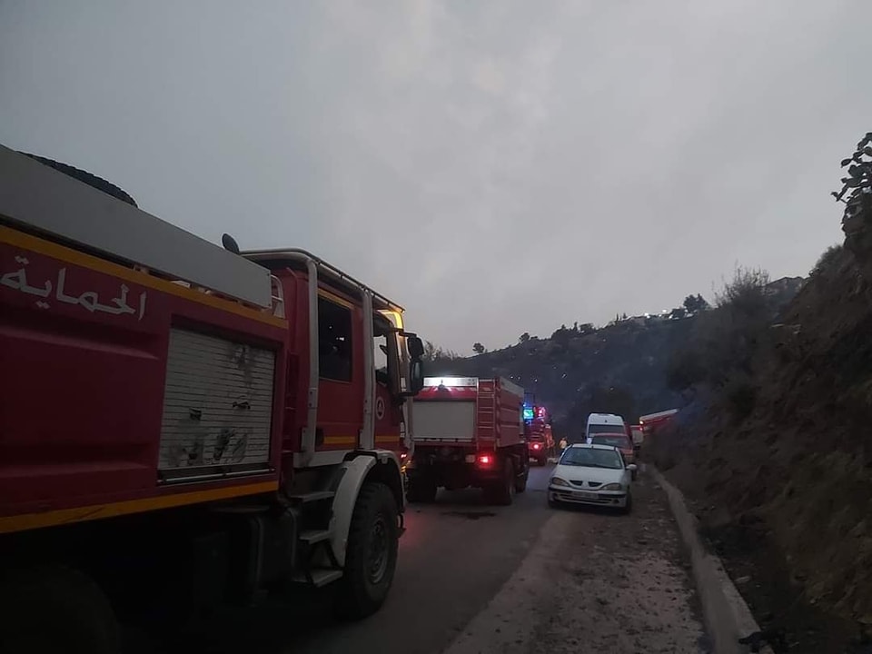 بوغلاف يقف على سير التدخل لإخماد حرائق الغابات بتيزي وزو
tinyl.io/BH8r