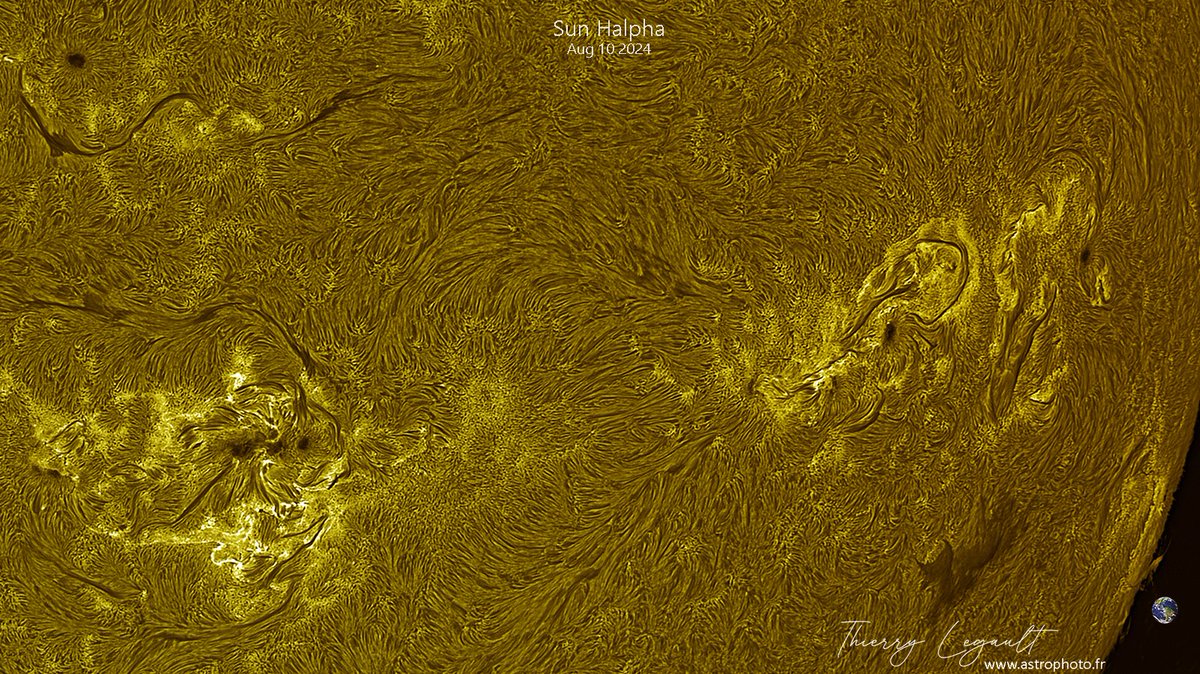 ThierryLegault's tweet image. One of the biggest sunspots of the solar cycle faces Earth today! 馃槑
Several groups are able to host powerful eruptions that could generate geomagnetic storms and auroras in the days to come 馃槏