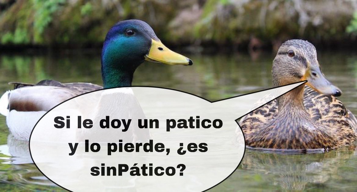 FrDHuevos's tweet photo. #yoqueseya https://t.co/AE0cRDRb39