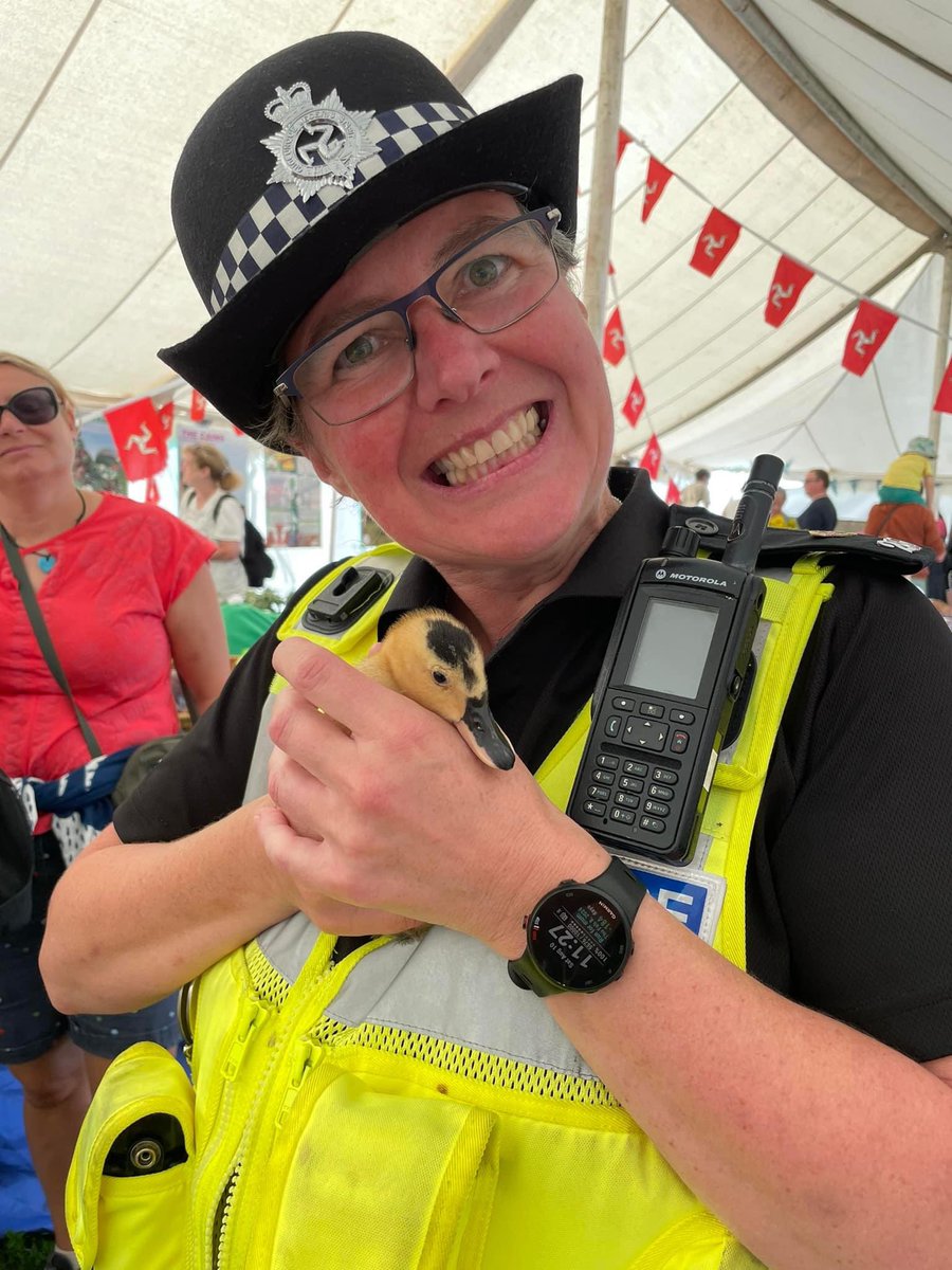 PC Lou tweet media