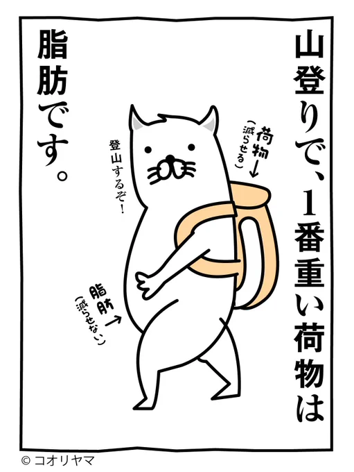 今日は山の日です。 