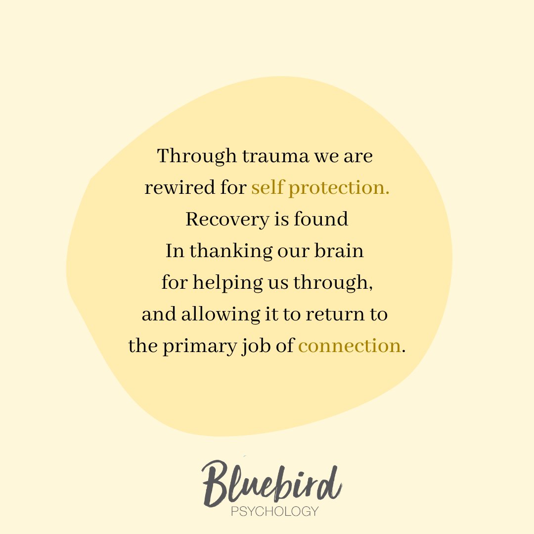 Bluebird Psychology tweet media