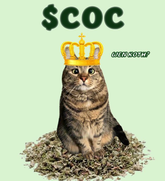 CatOnCatnipSOL's tweet photo. gmeow (=^ ◡ ^=) $COC https://t.co/rsUpZLYxni