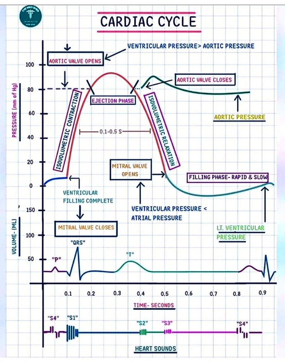 DrPharmDMDTh's tweet image. CARDIAC CYCLE