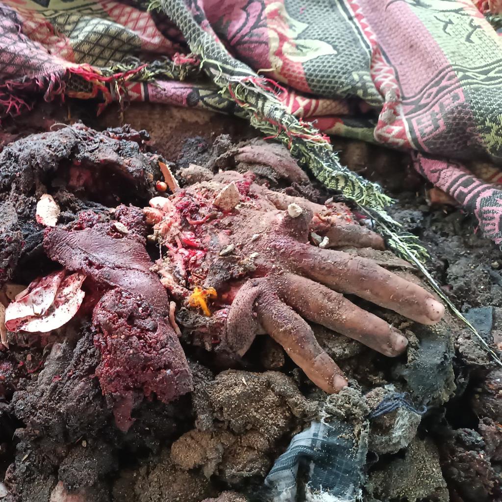 امريكا تساهم وتشرف بشكل مباشر عن قتل الأطفال والإبادة الجماعيه في المخيمات والمدارس في غزه