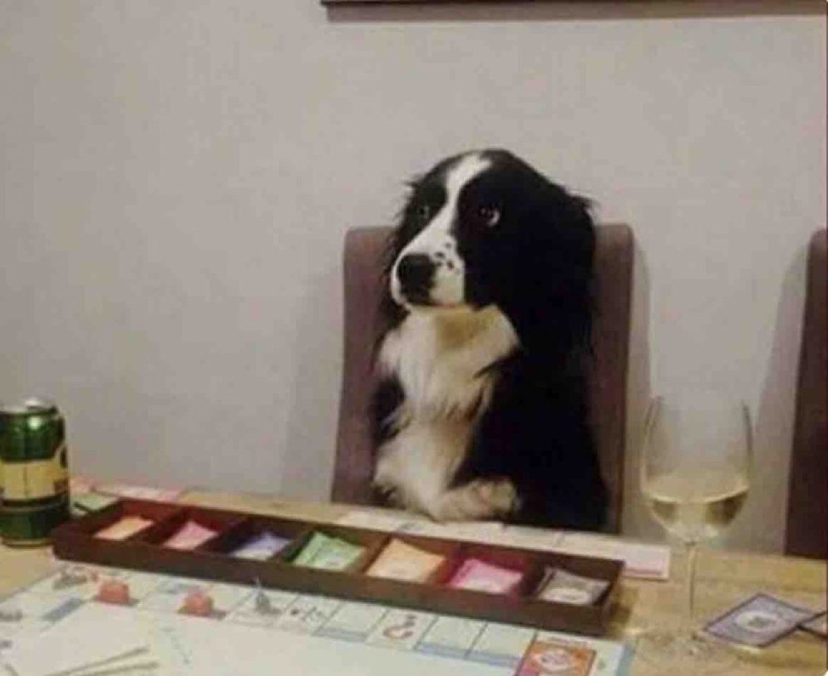 Guarromantico_'s tweet photo. Cuando me explica como jugar a un juego y no entiendo nada pero igual juego. https://t.co/ED3JqpcPpA