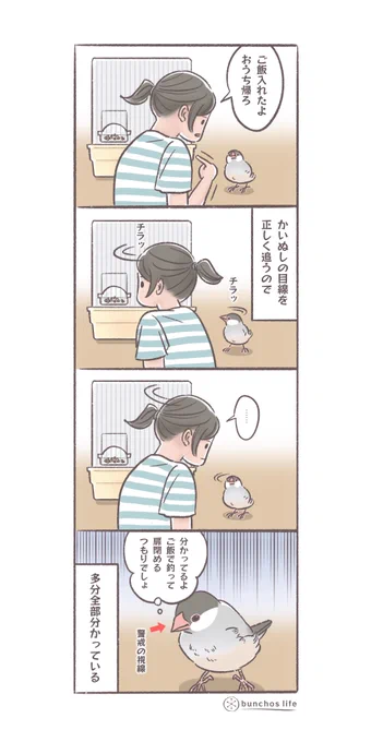 フリーの会話は理解できなくても特定の会話には解像度の高い2号
#文鳥 
#4コマ漫画 