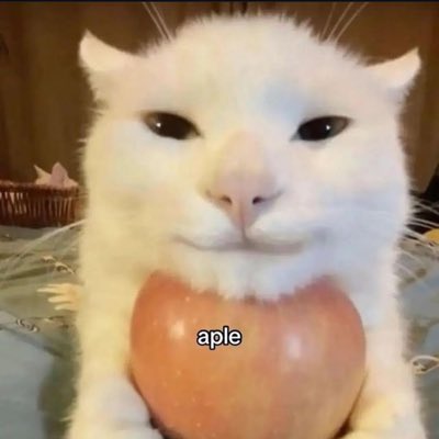 BooksAndPixels's tweet image. #NewProfilePic