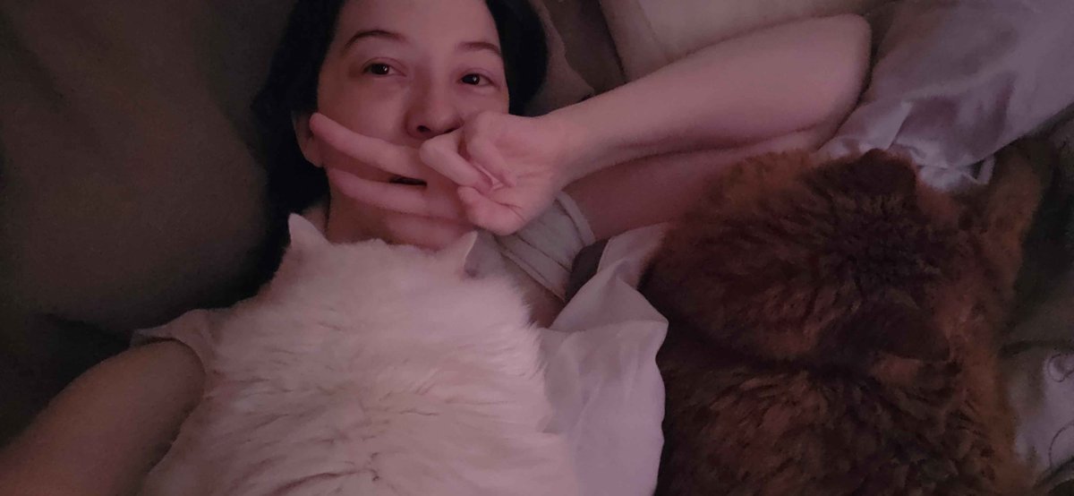 kitko's tweet photo. This year has been very hard on me. I never expected to lose both my babies within such a short timeframe. They were both so sweet and deserved the world. I can only hope I gave them a fraction of that. Love and miss them both so much. https://t.co/una9okKZNq