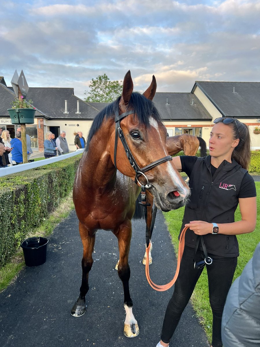 wgianjones's tweet photo. Great run and win for Jonny Concrete tonight @ayrracecourse big thanks to all the team @jardineracing and @andrewkmulleng1 for a great pillar to post ride and to @KylaCranston for looking after him on the night 👊🔥 https://t.co/dtafUDy63k