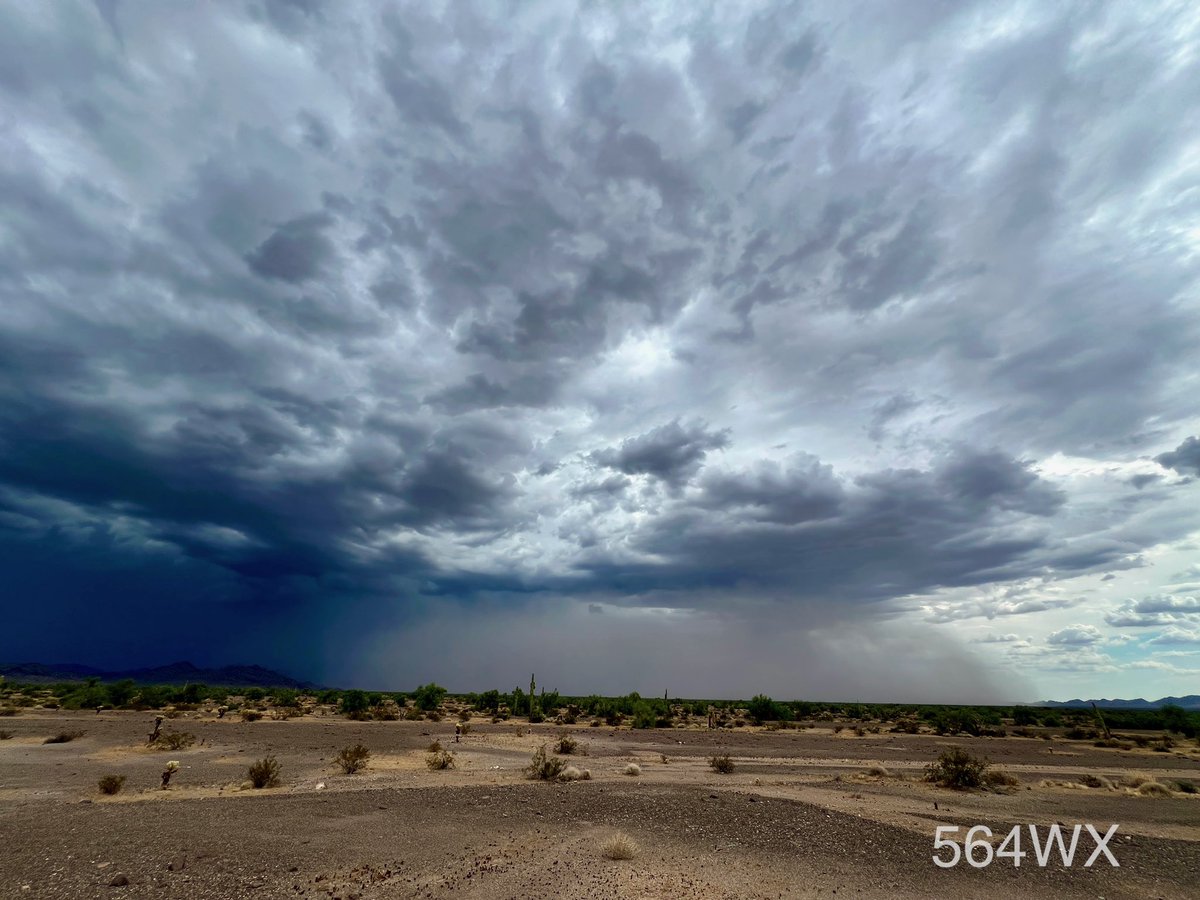 564 WX tweet media