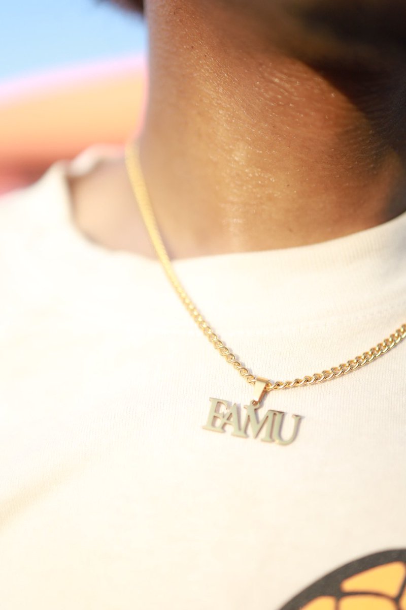 nathanlately's tweet photo. I love FAMU, goodnight. #BeOutDay https://t.co/jiKwm2Zfrn