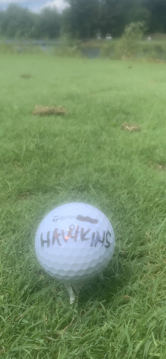 OracleFanSports's tweet photo. On boys golf weekend. I customized my balls to prevent confusion. With one of the best. @foofighters https://t.co/2H7733dL3z