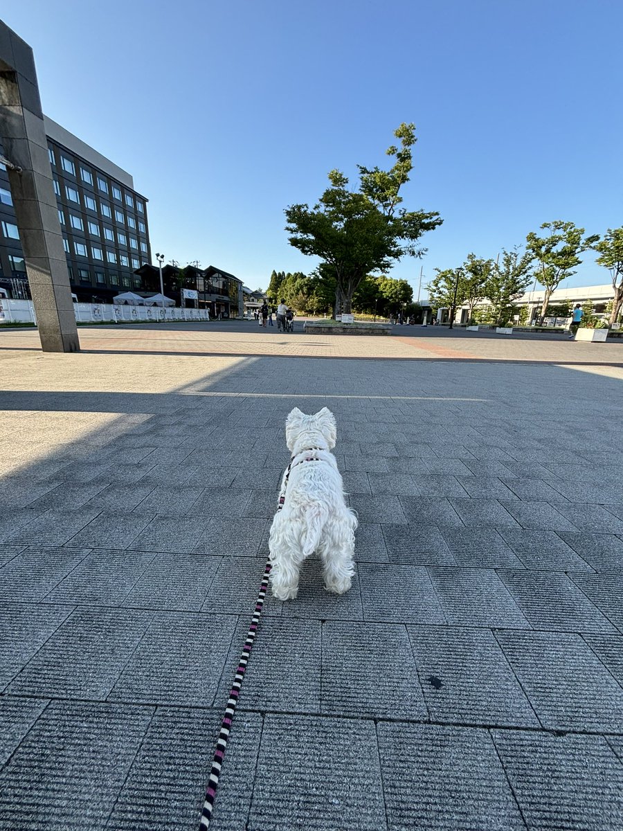 nasuke03's tweet image. 今日も暑くなるよ
水分補給忘れずに