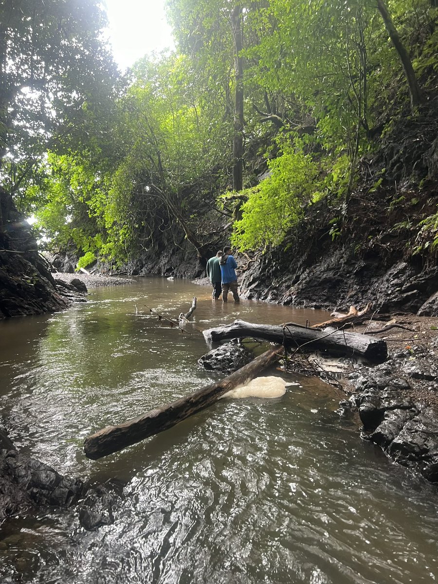 ElolassoG's tweet photo. Coiba está lleno de cascadas y ríos. Casi todos conocen a Coiba por su parte marina que es hermosa e importante, pero su parte terrestre no se queda atrás. Está lleno de bellezas que poca gente ha visto, por lo inaccesible, especialmente en los bosques del lado oeste de la isla https://t.co/kMOv86bJwS