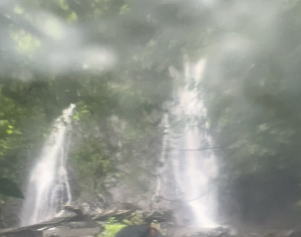 ElolassoG's tweet photo. Coiba está lleno de cascadas y ríos. Casi todos conocen a Coiba por su parte marina que es hermosa e importante, pero su parte terrestre no se queda atrás. Está lleno de bellezas que poca gente ha visto, por lo inaccesible, especialmente en los bosques del lado oeste de la isla https://t.co/kMOv86bJwS