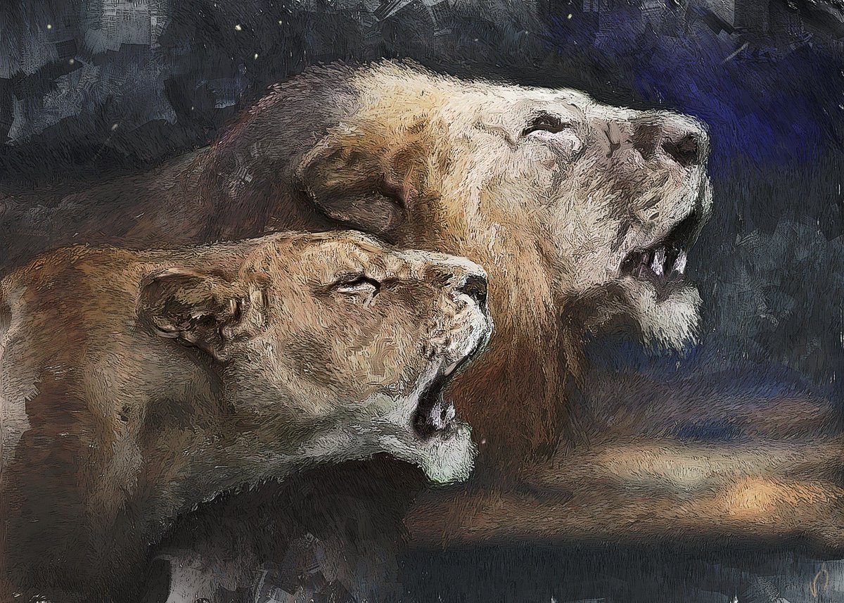 Velizar Simeonovski tweet media