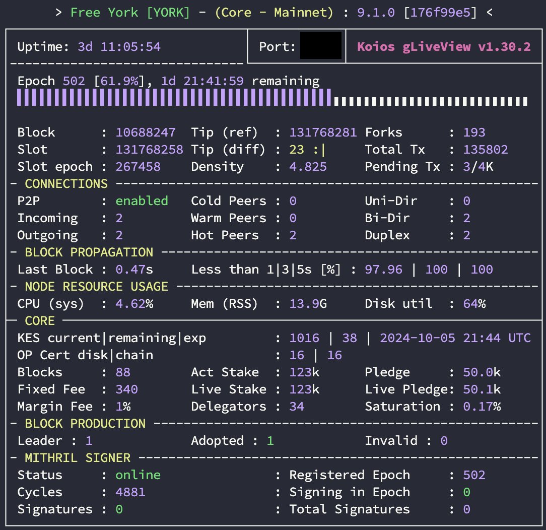 𝙁𝙧𝙚𝙚 𝙔𝙊𝙍𝙆 • Cardano Stake Pool tweet media
