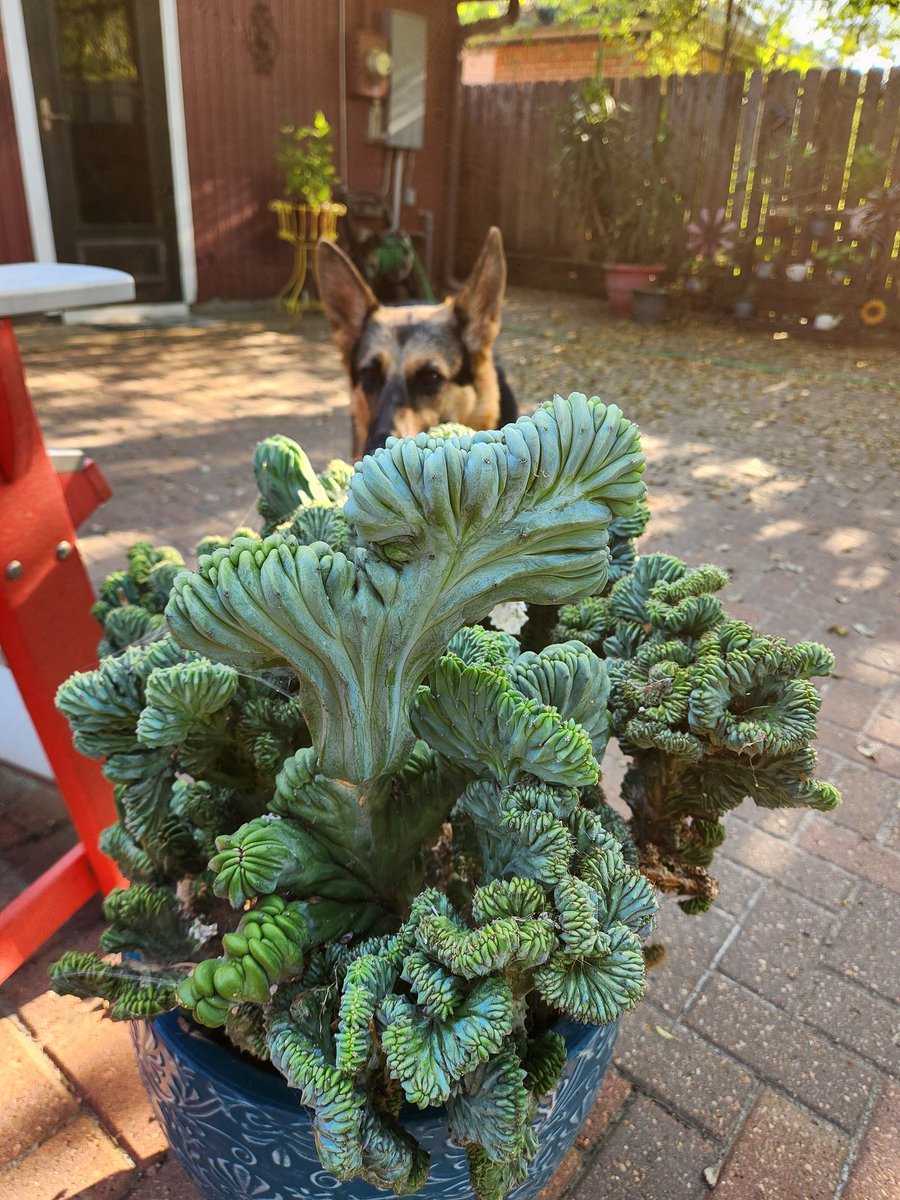 Jakeplus2's tweet image. 