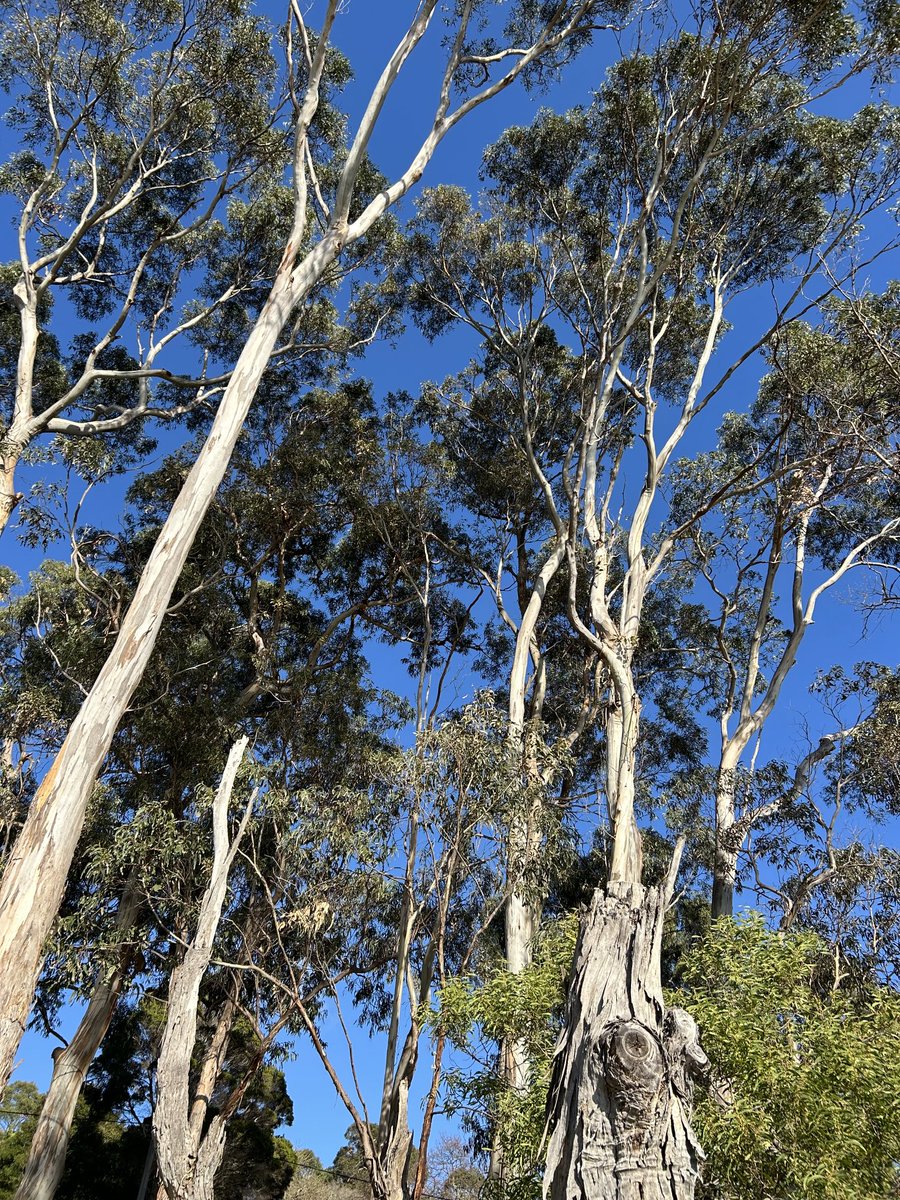 Alan Lilly tweet media