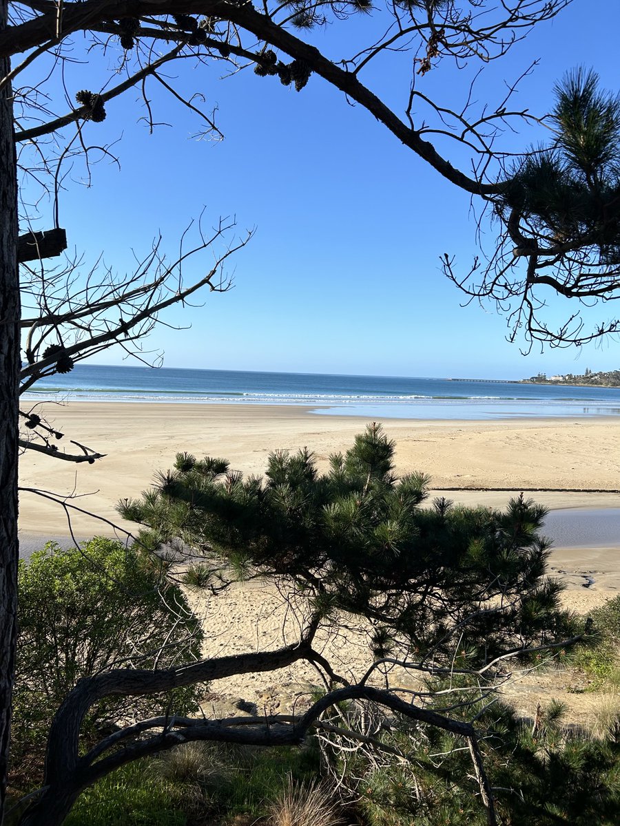 Alan Lilly tweet media