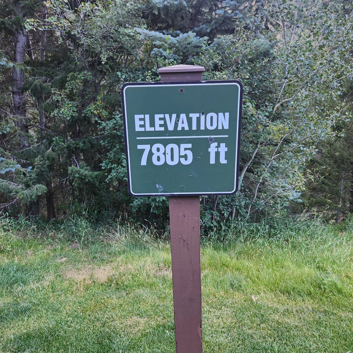 Nick Bootland tweet media