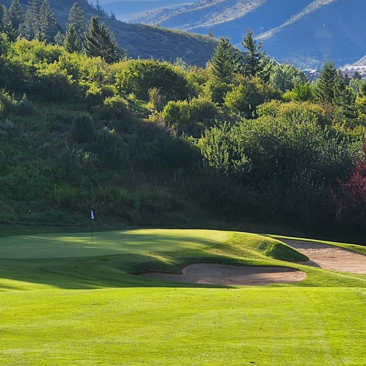 Nick Bootland tweet media