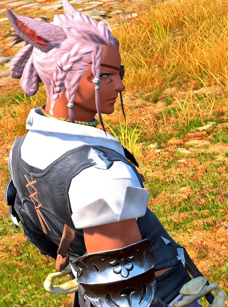 📷️ばっか撮ってないでさ、
冒険者らしいことさせてくんない？

と言われているような気が…
しなくもない:( ;´꒳`;):

おはようございます！
夏休み、みんな何して過ごしてるのかなー✨️

#FF14 #オスッテ #新たなる冒険