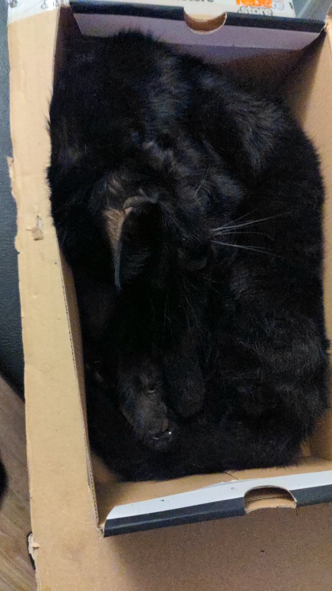 Ruhe in Frieden 😭