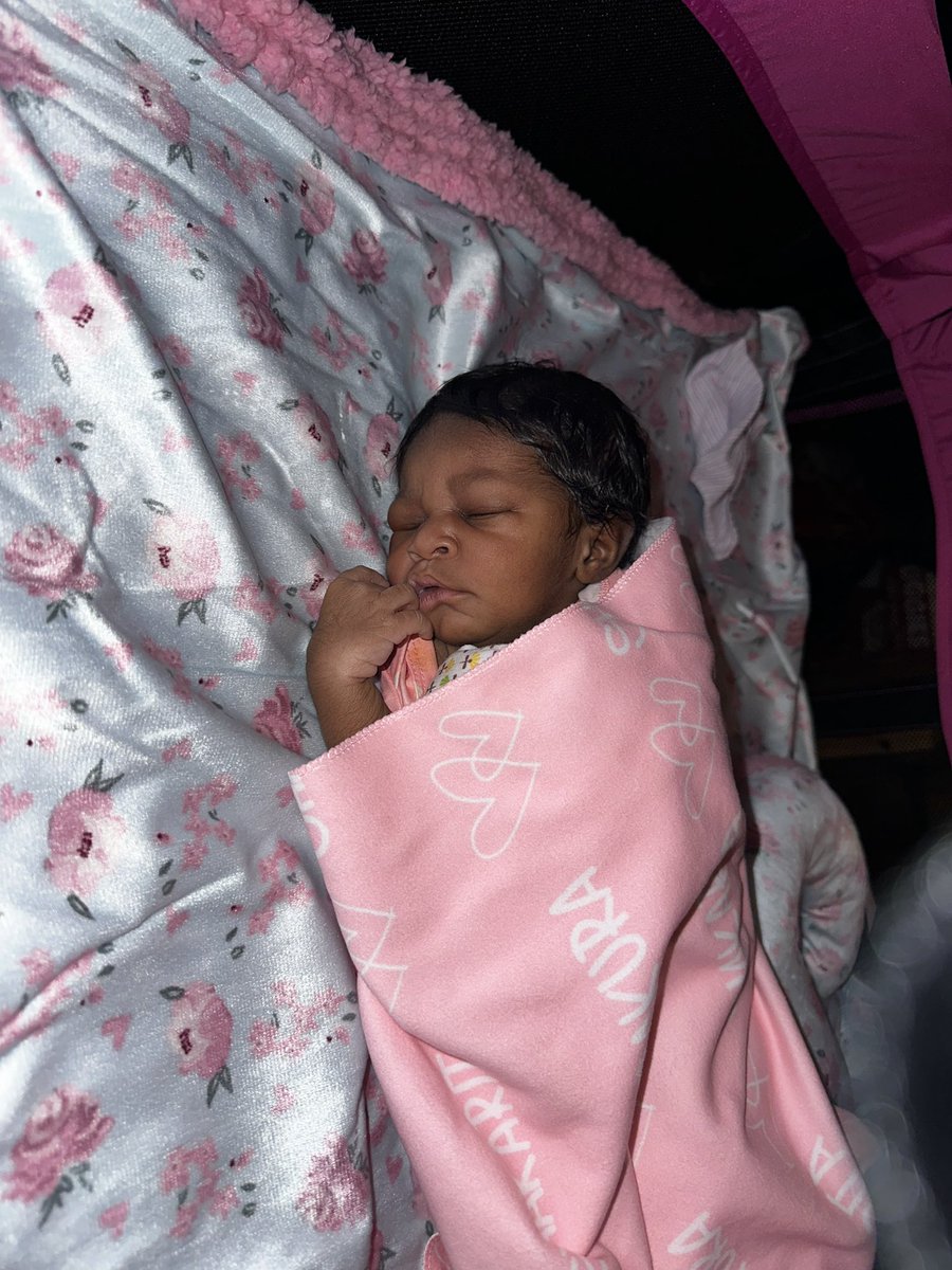 _hyaaaaaaaa's tweet image. Sakura Shakarita🌸🩷🌸💖