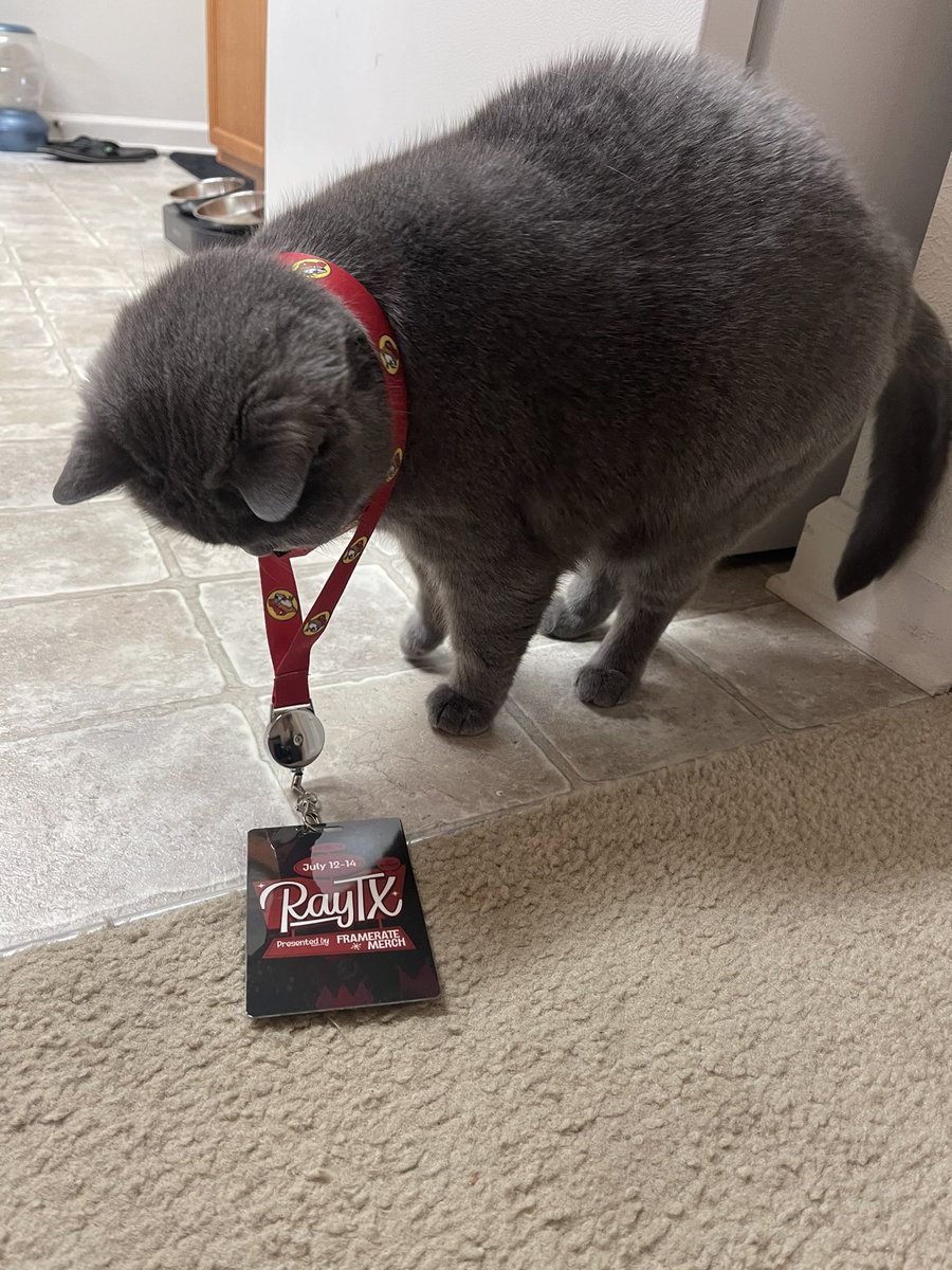 JustinWard1234's tweet photo. @FrameRateMerch 

Got my merch and I love it!

Even the fur baby’s 🐱 wanted to give them a try https://t.co/aDIS929NUZ