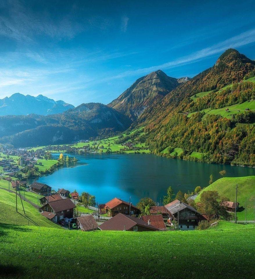 Nirvana Nature tweet media