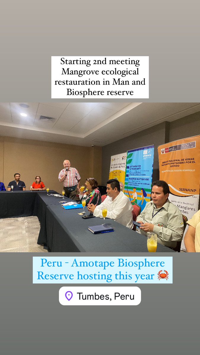 JuanaJimenez_JJ's tweet image. 2nd meeting of the #FUST project MangRes, #mangrove restoration in Man and Biosphere reserves @UNESCO_MAB @Flanders_DFA @VLIZnews