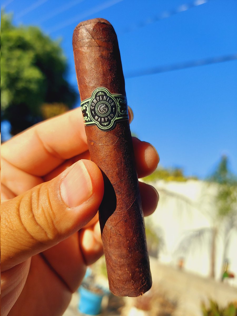 Puffin on a <a href="/warpedcigars/">Warped Cigars</a> 2021 Campanion 4.5x48 flavor 💥💣 Every time I smoke this beaut, she treats me so gooOood! 😋 💥🧨💥🧨💥🧨💥🧨💥🧨💥🧨💥🧨💥🧨💥🧨💥🧨💥🧨💥🧨💥🧨💥🧨🧨💥🧨💥🧨💥🧨💥🧨💥🧨💥🧨💥🧨💥🧨💥🧨💥🧨💥 #ILuvMyHumi 🧨