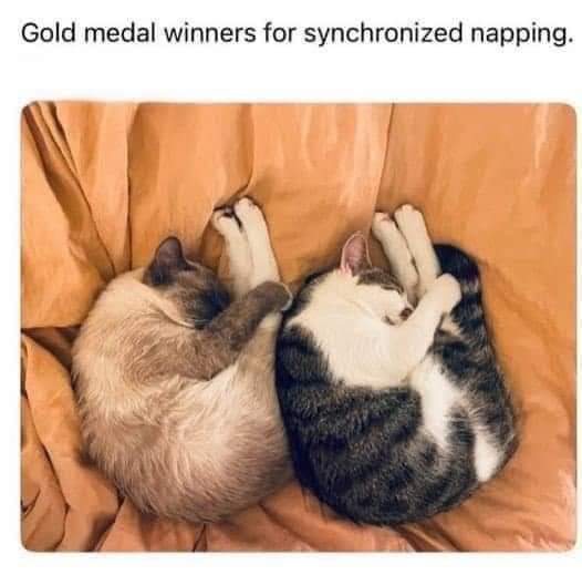 Nurses Against Dick Pics. 🪷🇺🇦 tweet media