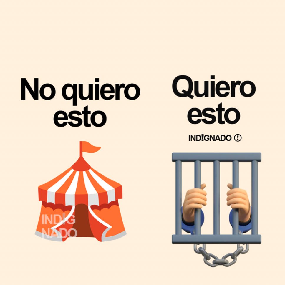 Alejandro Fargosi tweet media