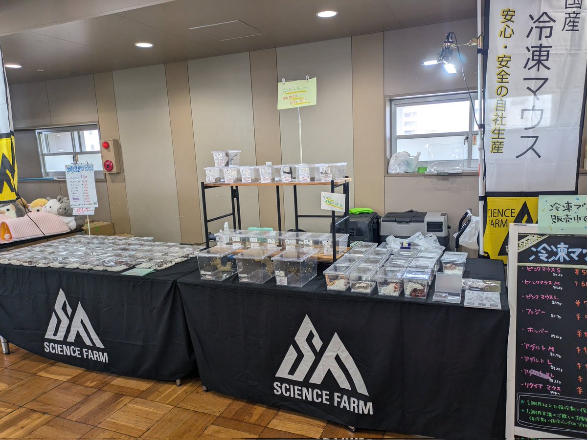 sciencefarm_rep's tweet photo. こんにちは🏖️🔅
本日はWAF浅草に出店中です✊🏻🫧
サマーセールでとってもお買い得となっておりますので、是非お立ち寄りください😻
#WAF浅草 https://t.co/gj2AtLXHlt