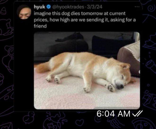 EnjoyCryptos's tweet photo. @Support when are you getting rid of these scammers?  @neirosolanaa 
❌❌❌
Ca: CTJf74cTo3cw8acFP1YXF3QpsQUUBGBjh2k2e8xsZ6UL

 $Neiro #Neiro 

It’s a slow farming rug 
Bans investors for having different opinions
Price manipulators https://t.co/6tu4uXaFCZ