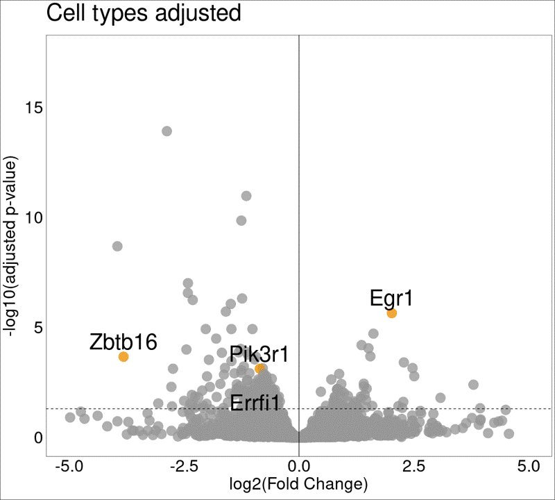 Christoph Rau tweet media