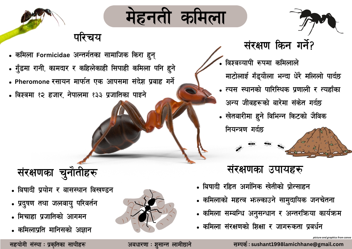 A digital 'conservation poster' designed by a trainee of the Wildlife Research Techniques Training (Mr. Sushanta Lamichhane) as part of their online internship! #WildlifeReseachTechniquesTraining2023 #Online #Internship #FONNepal